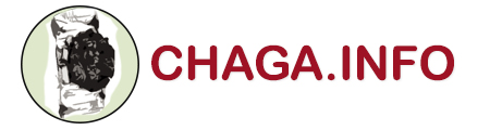 chaga.info